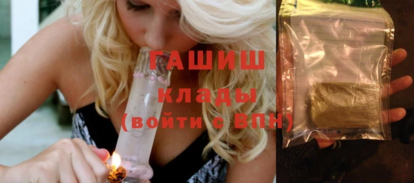 сатива Горняк