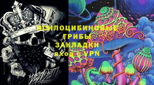 твердый Алексеевка