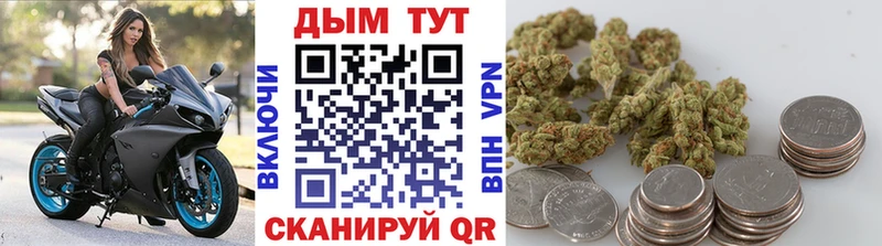где можно купить наркотик  Черемхово  Марихуана White Widow 